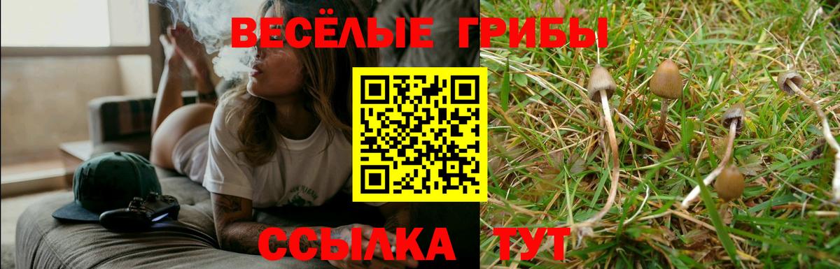 Галлюциногенные грибы MAGIC MUSHROOMS Татарск