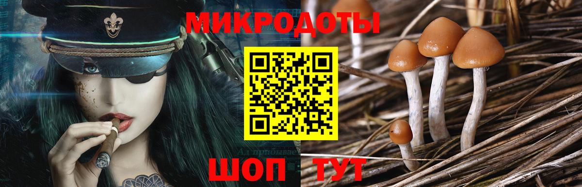 Псилоцибиновые грибы Psilocybine cubensis  Вход с VPN  Татарск  Галлюциногенные грибы ЛСД 